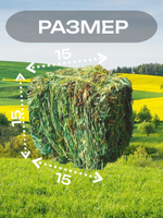 Сено луговое 900 грамм в тюках (брикетах)