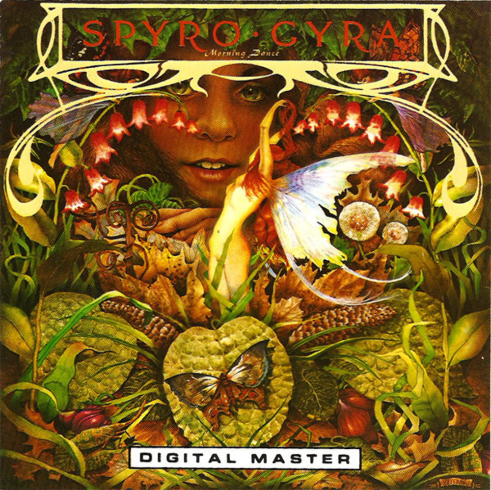 Spyro Gyra / Morning Dance (CD)