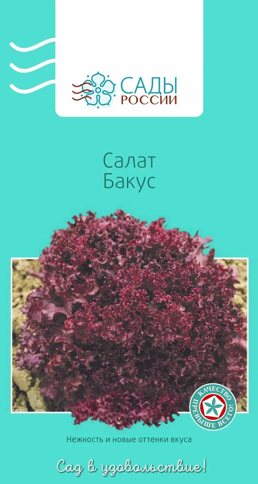 Салат красный семена