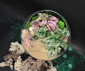 Флорариумы