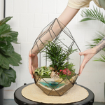 Готовый флорариум бонсай Подокарпус Цефей с озером