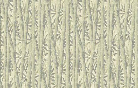 Bamboo