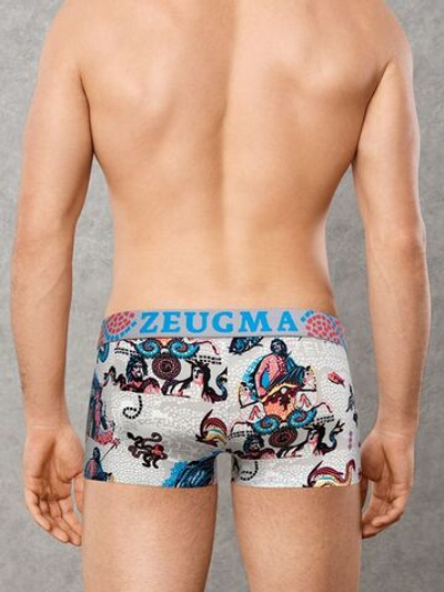 Стильные мужские хипсы с принтом Doreanse Zeugma (Размер: M) (Цвет: серый)