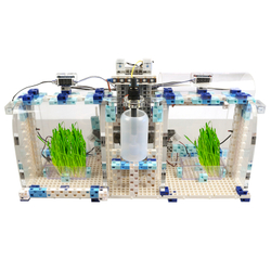 Академия Наураши "Умная теплица"