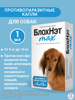 Капли на холку для кошек и котят всех пород от блох, вшей, власоедов, иксодовых и саркоптозных клещей и кровососущих комаров БлохНэт MAX (Астрафарм),1мл