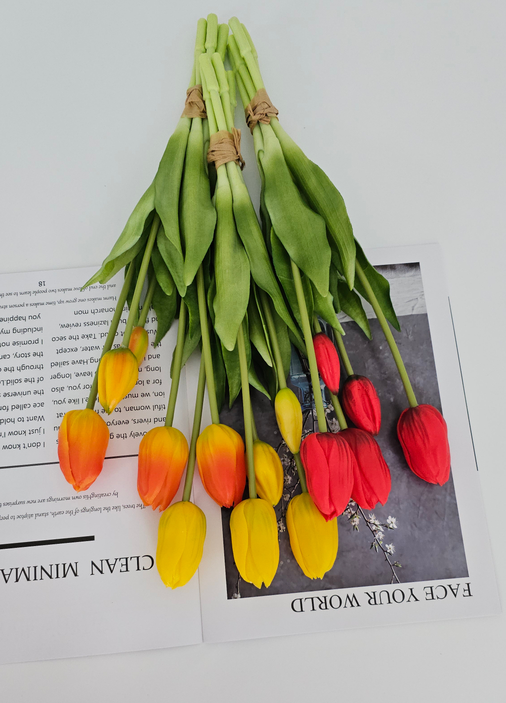 Тюльпаны закрытые / Арт 2454