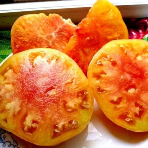 Помидоры Pineapple Вi-color — Двухцветный Ананас