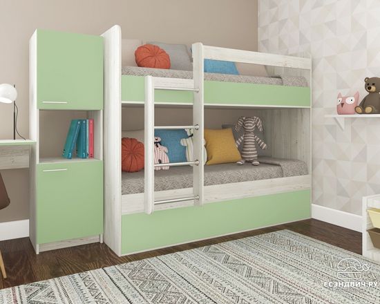 сосна винтерберг / салатовый