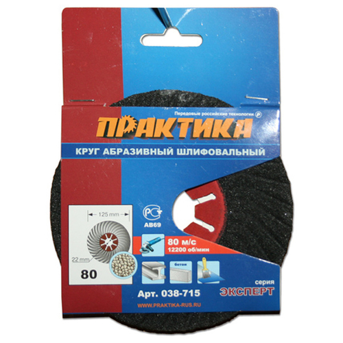 Диск абразивный торцевой картонный подвес Р80 Практика (125х22мм)