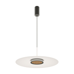 Подвесной светильник Maytoni MOD041PL-L15W3K1