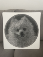 Фотокартина нитями RingString своими руками, основа картины квадрат, создается нитями по вашей фотографии