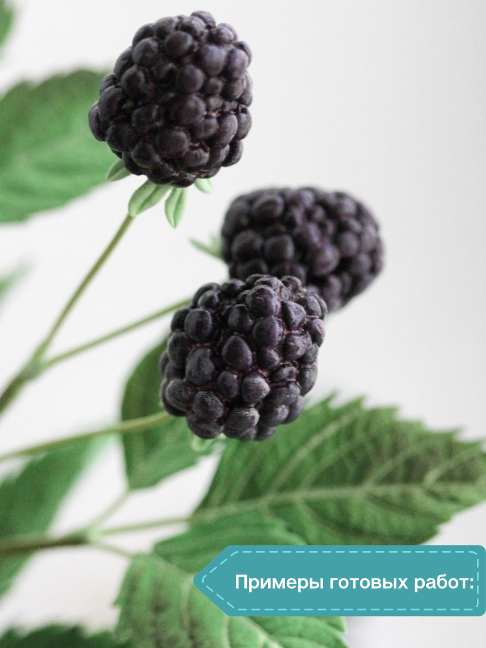 Молд силиконовый для лепки "лист Ежевики" / форма для оттиска листьев гортензии, малины, мяты)