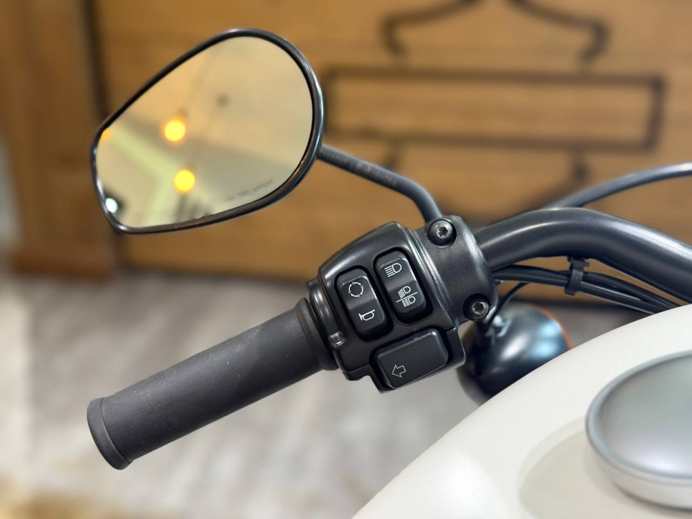 Harley-Davidson Sportster Iron 883 (XL883N) 2018