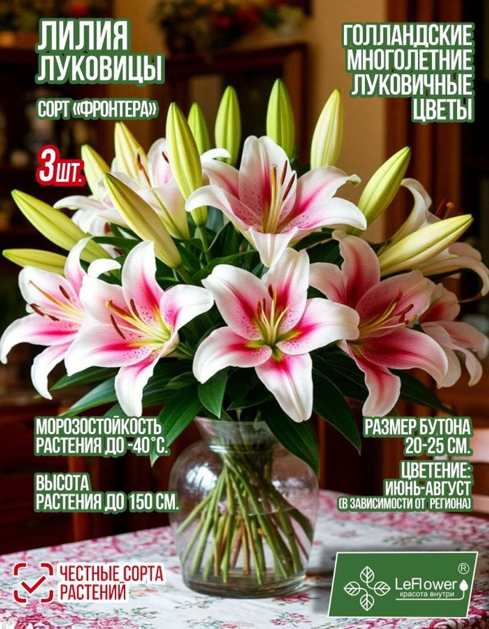 Лилия Луковица, Фронтера 3 шт