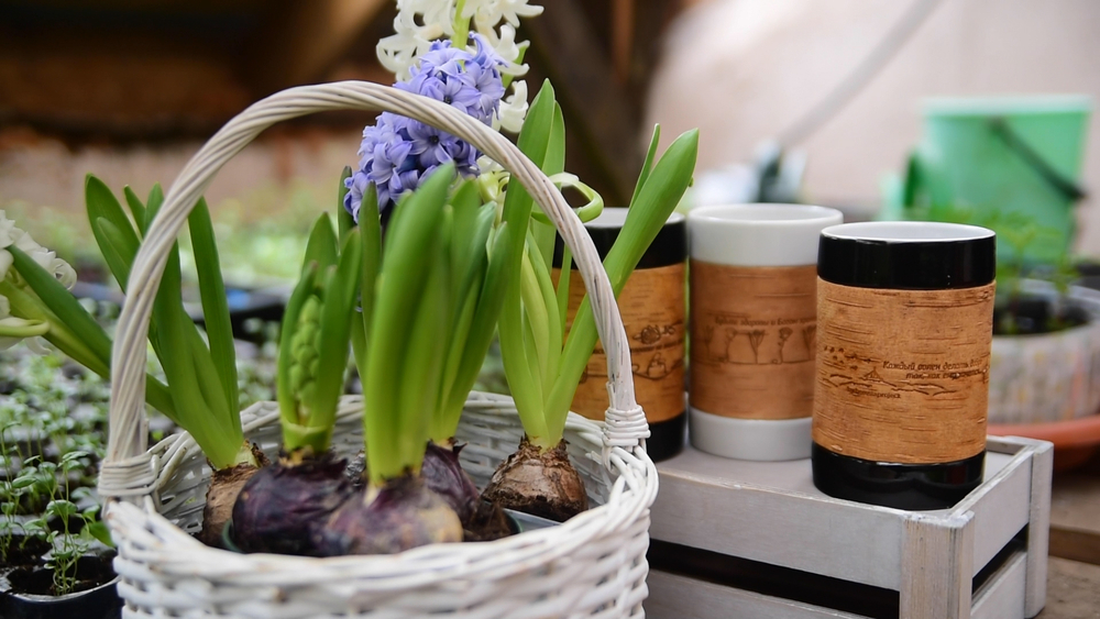 Кружка большая фарфоровая c берестой и с цитатами Чехова. Chekhov forever.