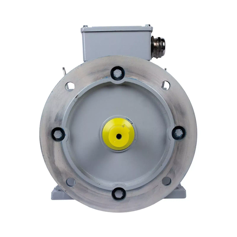 Электродвигатель ESQ PR 100 LB4-SDN-Б1-S12-IE3 3/1500 IMB35