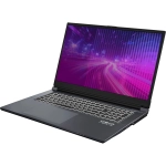 Ноутбук Osio CyberLine C170i-002 Core i5 12600H 16Gb SSD512Gb NVIDIA GeForce RTX4050 6Gb 17.3" IPS FHD (1920x1080) без ОС dk.grey WiFi BT Cam 3410mAh