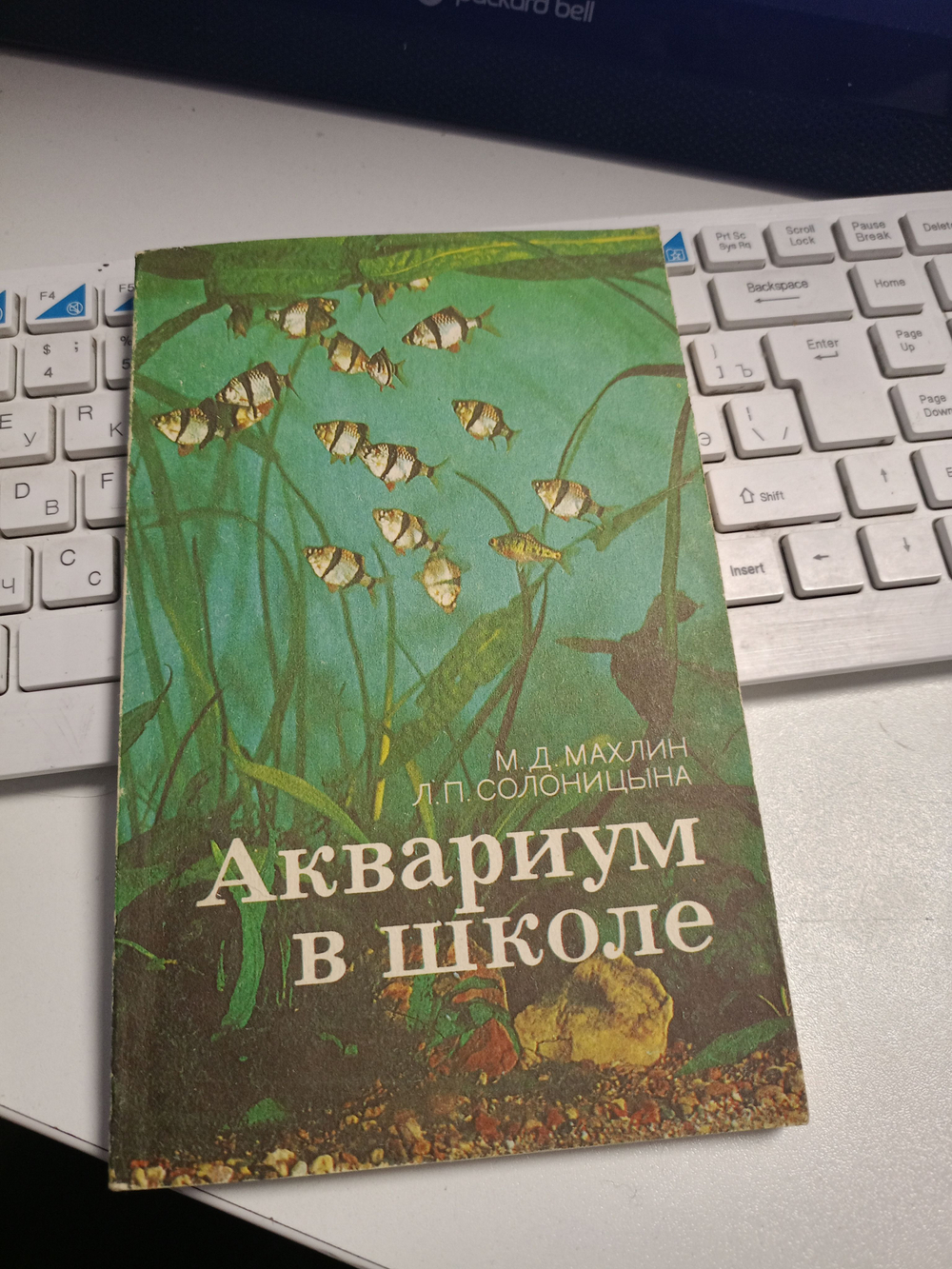 Аквариум в школе