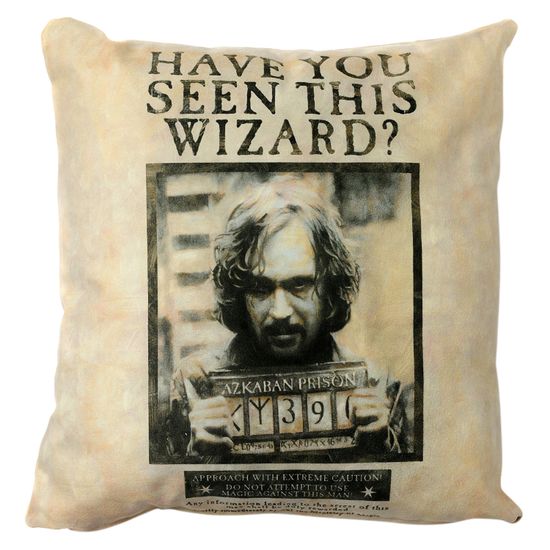 Подушка декоративная Гарри Поттер Have You Seen This Wizard PILLS024