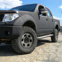 Галерея Раптор