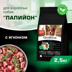 Корм сухой для взрослых собак породы Папийон, с ягненком, 2,5 кг, QUATTRO