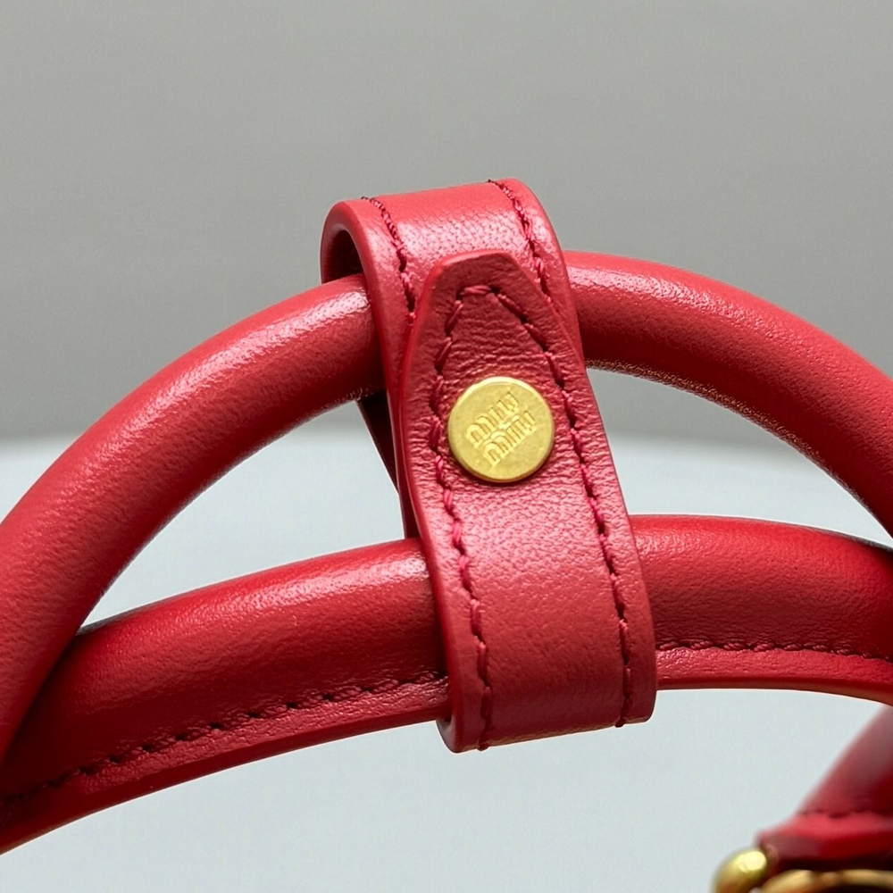 Miu Miu Arcadie Bag 22 cm