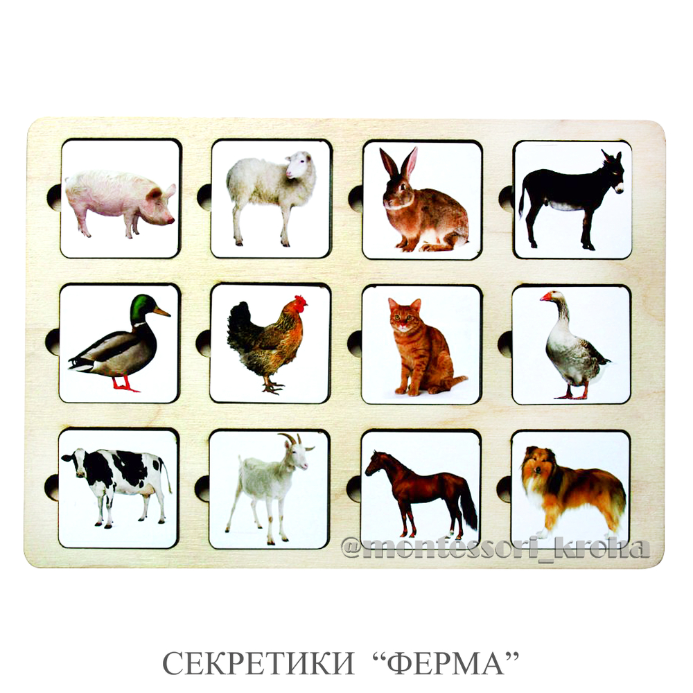 СЕКРЕТИКИ «ФЕРМА»