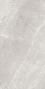 ARMANI SILVER RT7013-A