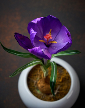 Сороковой очный мастер-класс Silk Blossom: когда расцветает крокус.