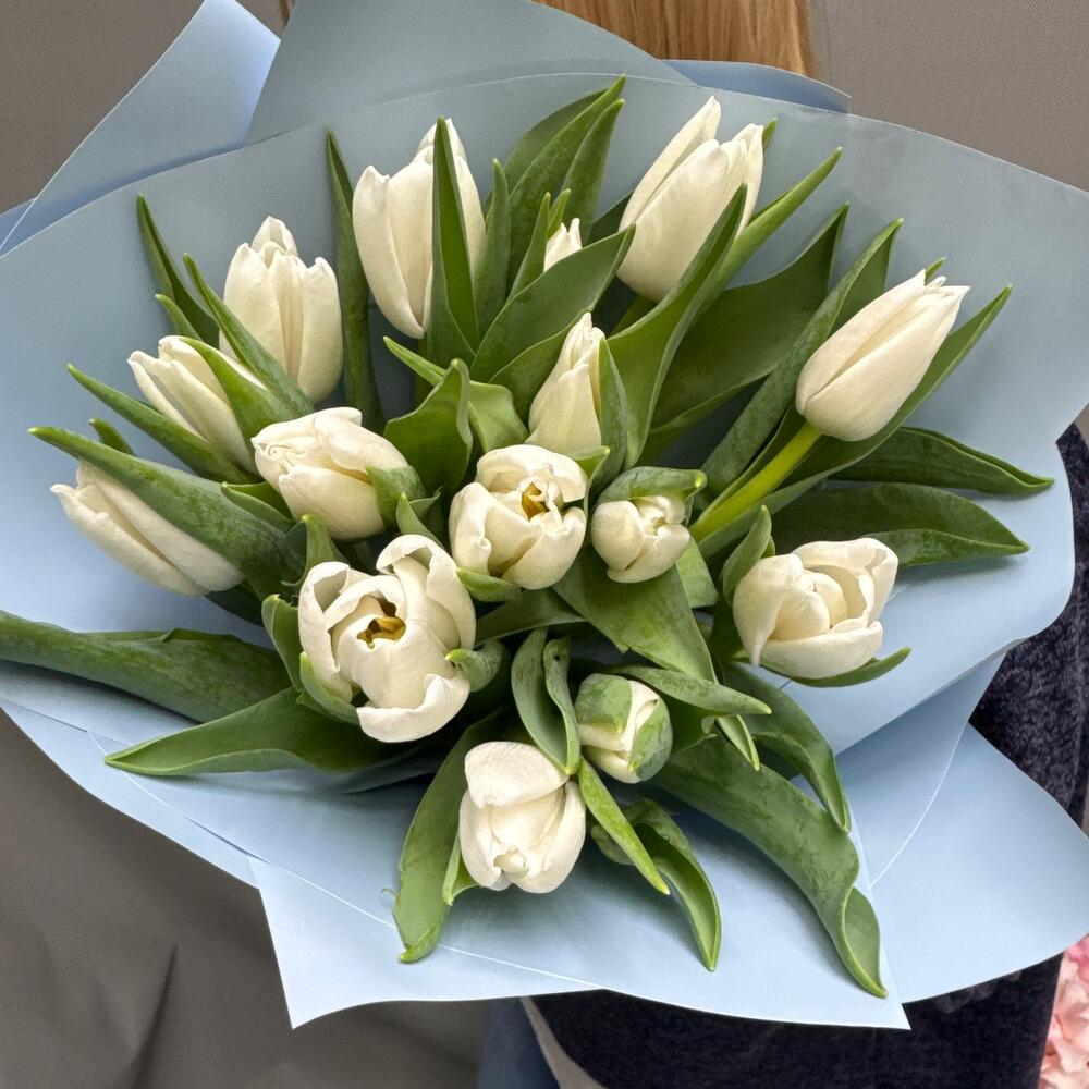 Букет из 15 белых тюльпанов в голубом оформлении