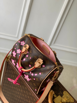 Louis Vuitton Speedy 25