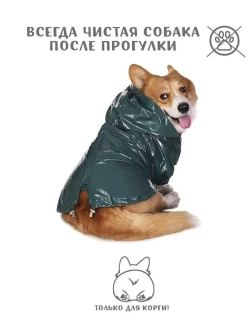Дождевик для собак Корги комбинезон
