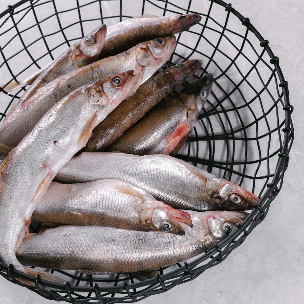 Корюшка свежемороженая