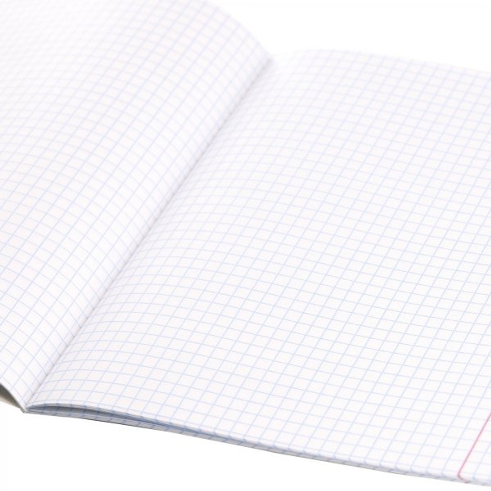 Тетрадь предметная "Физика" А5 48л., клетка, со справочным материалом, скрепка, мелованный картон(стандарт), блок офсет, Alingar "Город контрастов"