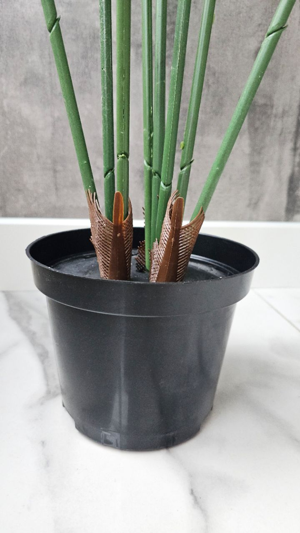 Пальма Хамедорея 120 см без кашпо / Арт 3091