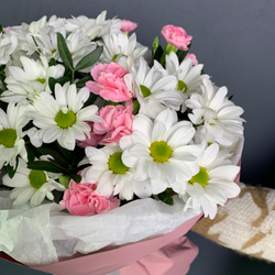 Букет комплимент Лира (хризантема ромашка ,гвоздика)