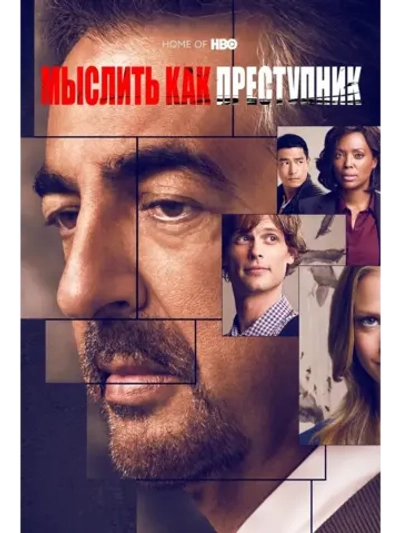 Мыслить как преступник, 10 сезон (12 DVD) (DVD-R)