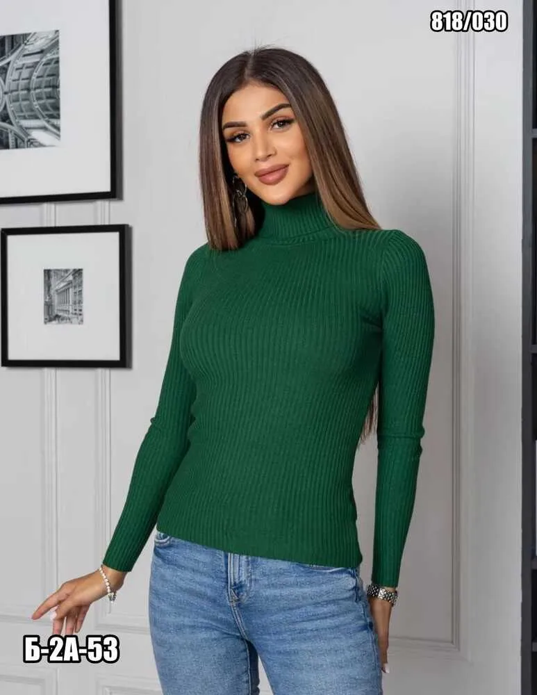 Водолазка 4145655 (1580690140) Fabrika