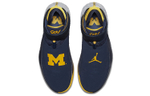 Кроссовки Jordan Why Not Zer0.1