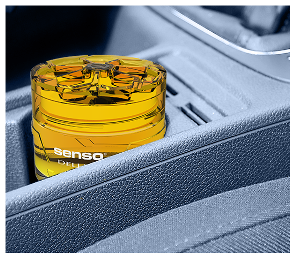АРОМАТИЗАТОР DR.MARCUS  SENSO DELUXE (CITRUS DREAM) 50ML