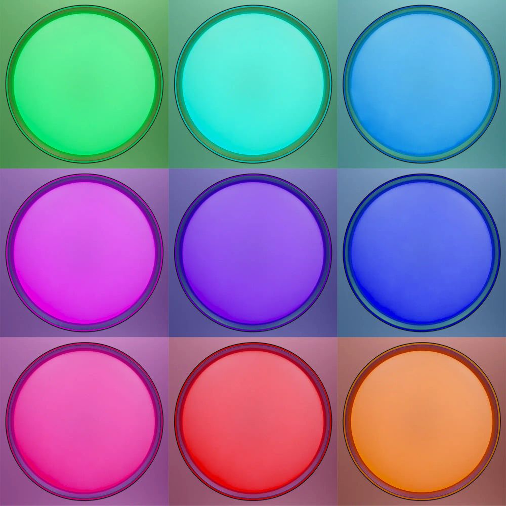 Citilux BOSS CL751451G LED RGB Светильник с пультом Чёрный с Золотом