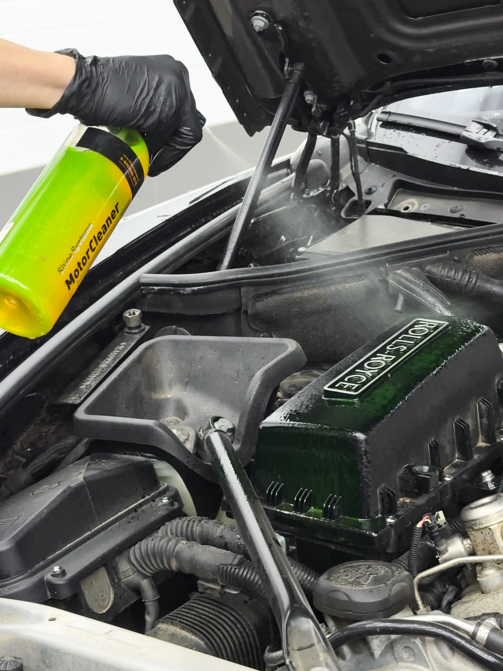 Диэлектрическая мойка двигателя