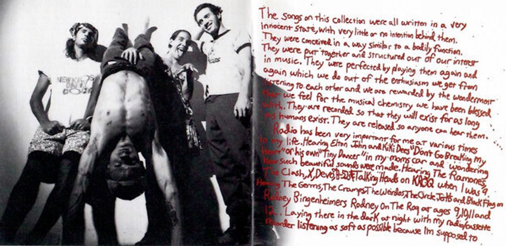 Red Hot Chili Peppers. Greatest Hits (CD)