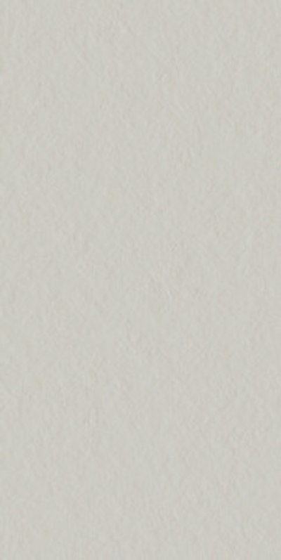 Керамогранит SCG Flamed (4101139)