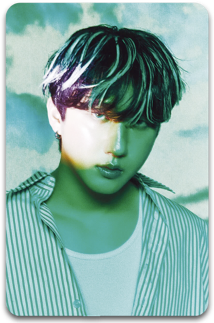 Карта / STRAY KIDS #1387