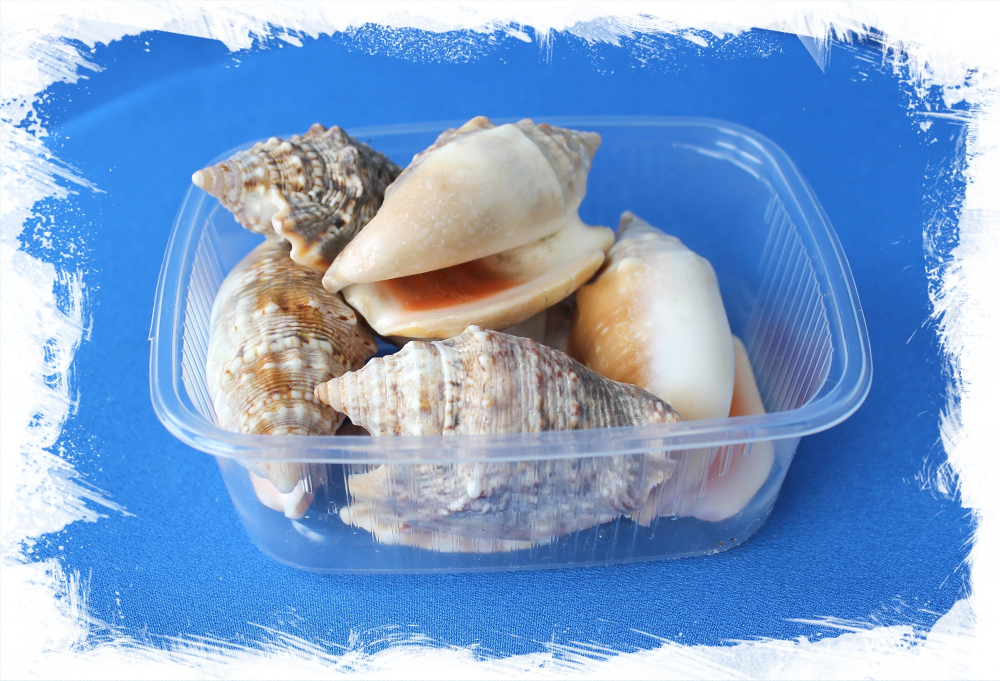 Стромбус Дианы