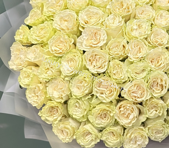 101 роза Мондиаль 4