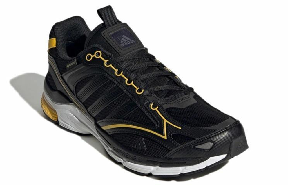 Кроссовки Adidas Spiritain 2000 Gtx