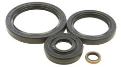 Ремкомплект дифференциала ALL BALLS 25-2066-5