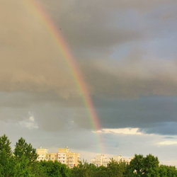Грифон